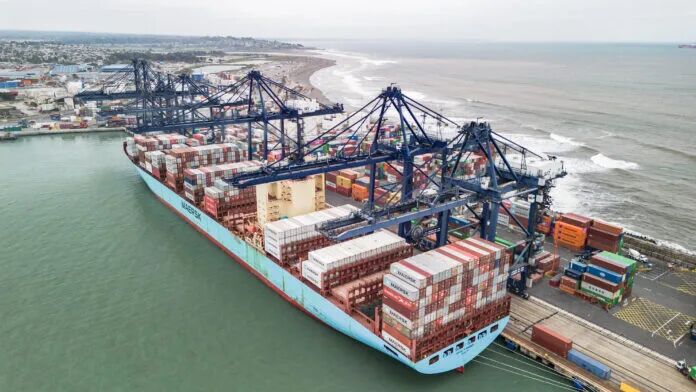 Red de líneas regulares golpeada por el "Cisne Negro"