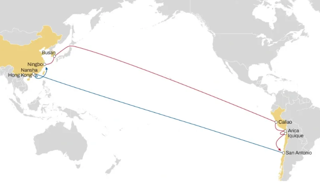 MSC Announces Groundbreaking ALPACA Service