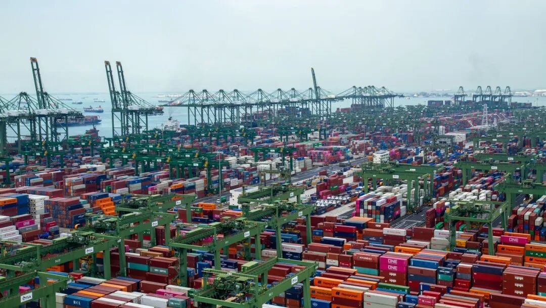 ¡Resultados sobresalientes del puerto de Singapur en 2025: múltiples datos alcanzan máximos históricos!