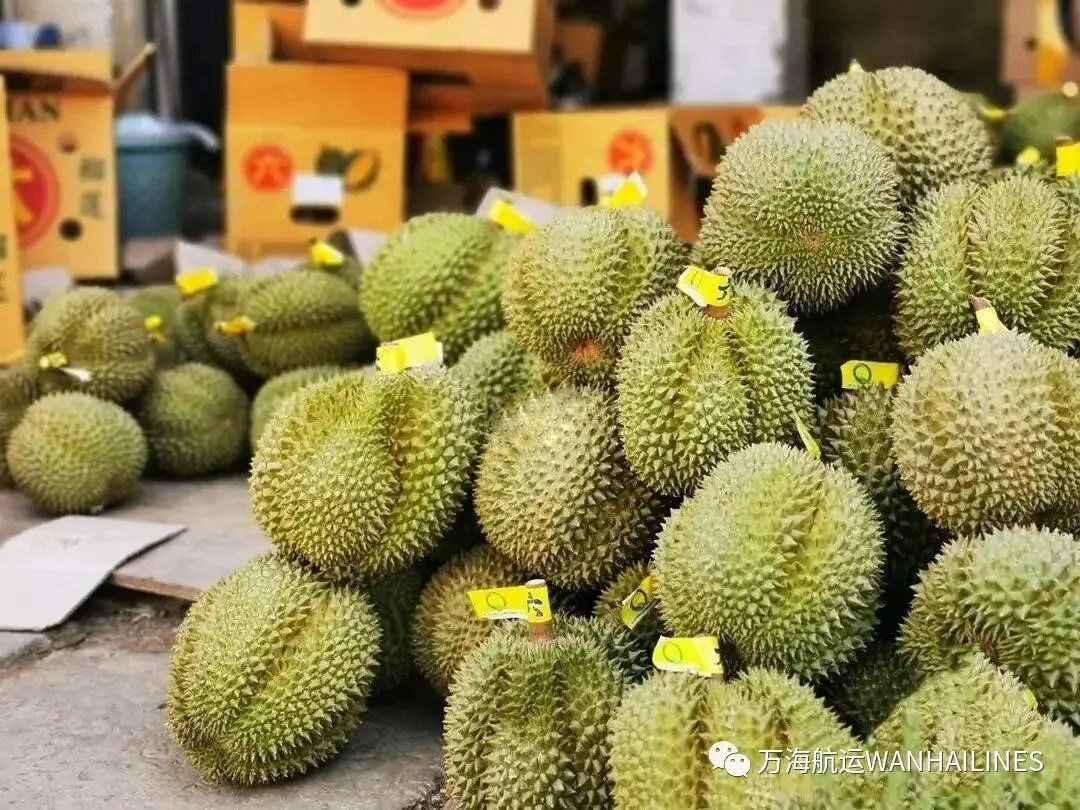 WHL y EMC lanzan la ruta Durian de Laem Chabang a Guangzhou