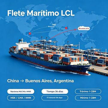 Servicio de flete marítimo LCL de China a Buenos Aires Argentina STU Supply Chain